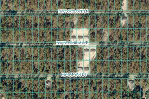 Land in Dunnellon, Florida № 2165239