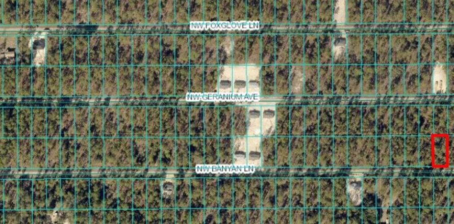 Land in Dunnellon, Florida № 2165239