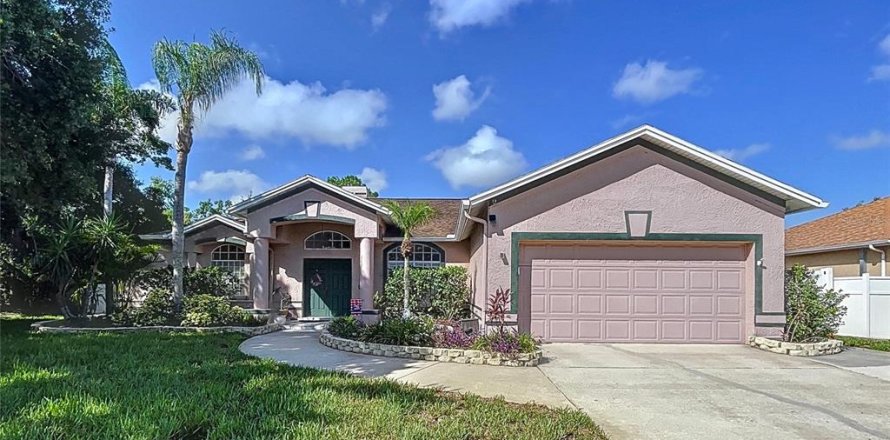 House in Lutz, Florida 3 bedrooms, 177.81 sq.m. № 1801338