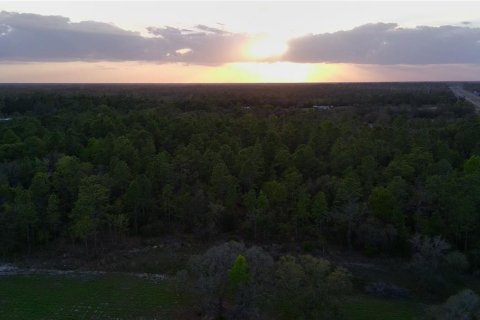 Terrain à vendre à Williston, Floride № 2206160 - photo 5