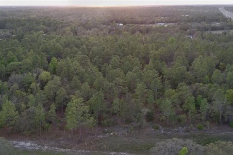 Terrain à vendre à Williston, Floride № 2206160 - photo 4
