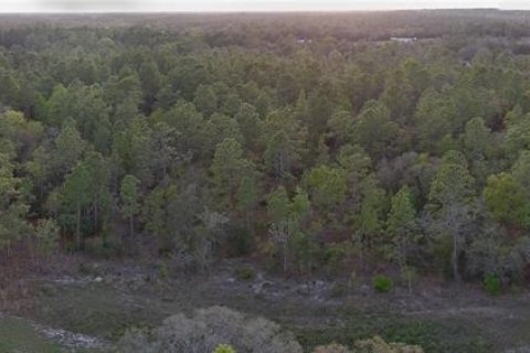Terrain à vendre à Williston, Floride № 2206160 - photo 6