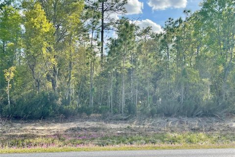 Terreno en Williston, Florida № 2206160