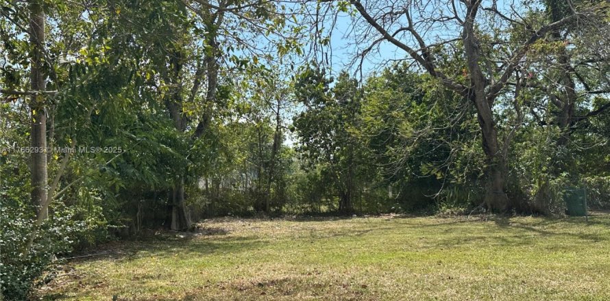 Land in Miami, Florida № 1956733