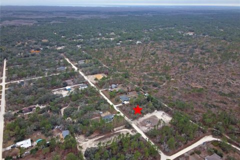 Terrain à vendre à Brooksville, Floride № 1512406 - photo 4