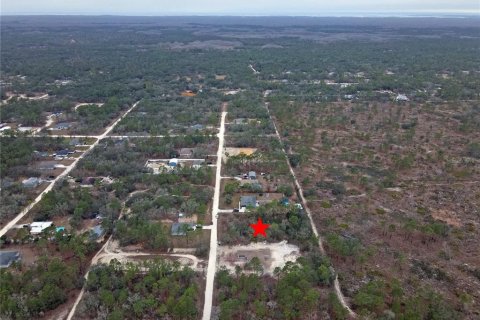 Terrain à vendre à Brooksville, Floride № 1512406 - photo 6