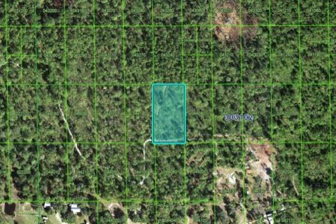 Land in Lake Wales, Florida № 2158936