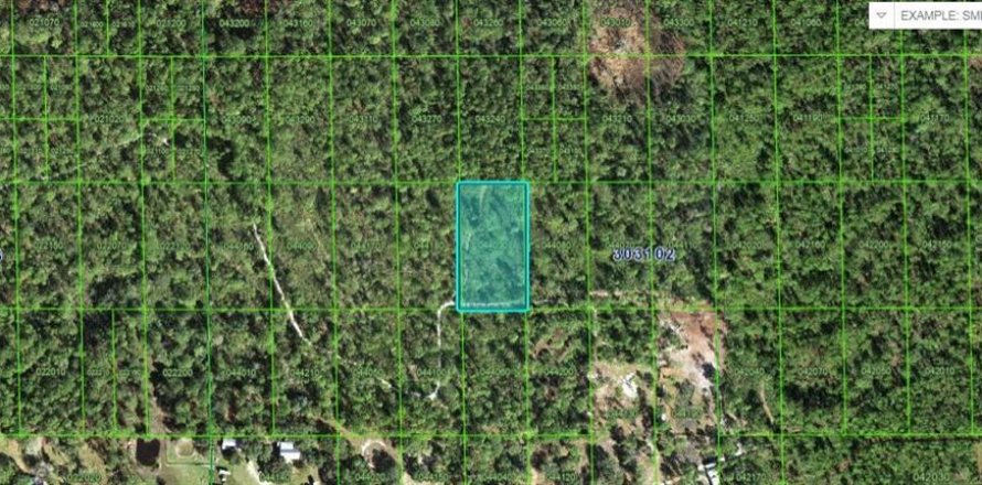 Land in Lake Wales, Florida № 2158936