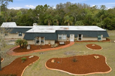 Villa ou maison à vendre à New Port Richey, Floride: 5 chambres, 252.69 m2 № 2211689 - photo 2