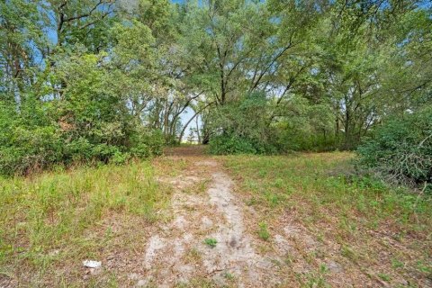 Villa ou maison à vendre à Apopka, Floride: 5 chambres, 367.89 m2 № 2416667 - photo 28