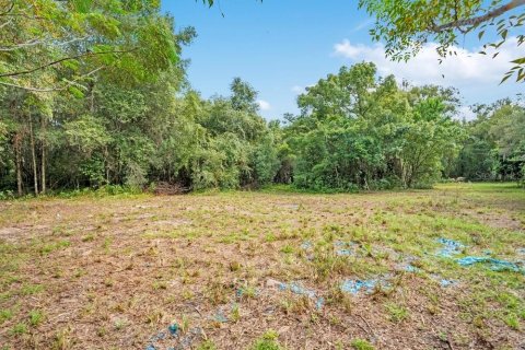 Villa ou maison à vendre à Apopka, Floride: 5 chambres, 367.89 m2 № 2416667 - photo 24