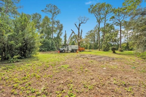 Villa ou maison à vendre à Apopka, Floride: 5 chambres, 367.89 m2 № 2416667 - photo 5