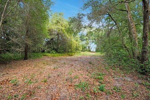 Villa ou maison à vendre à Apopka, Floride: 5 chambres, 367.89 m2 № 2416667 - photo 27