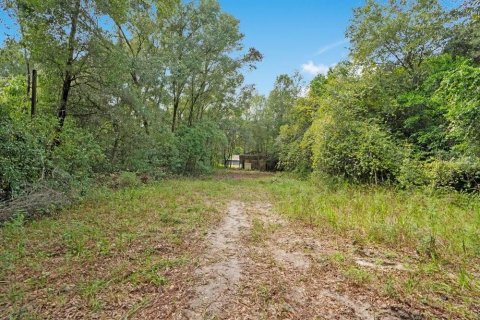 Villa ou maison à vendre à Apopka, Floride: 5 chambres, 367.89 m2 № 2416667 - photo 29