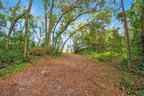 Villa ou maison à vendre à Apopka, Floride: 5 chambres, 367.89 m2 № 2416667 - photo 30