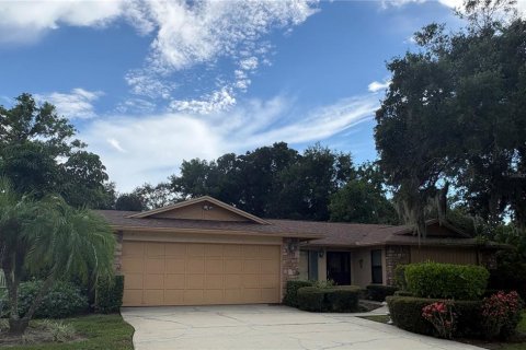 Villa ou maison à Palm Harbor, Floride 4 chambres, 208.38 m2 № 2376592