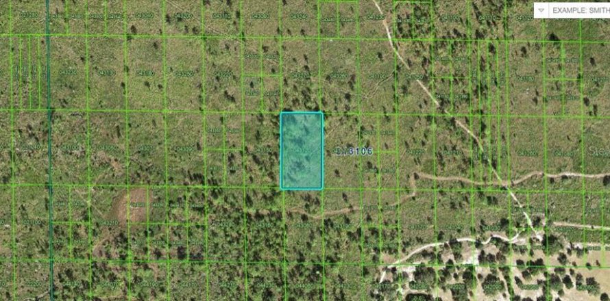 Land in Lake Wales, Florida № 2162265