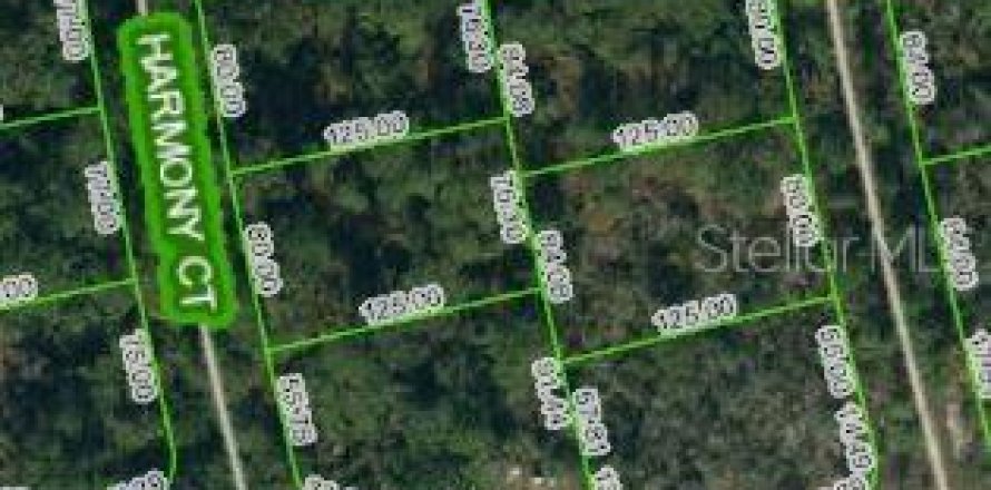 Land in Lake Placid, Florida № 2223933