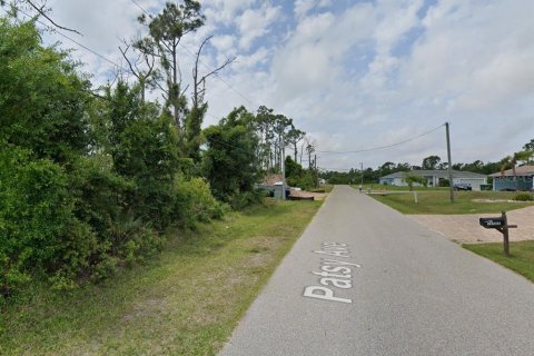 Land in Port Charlotte, Florida № 2159403 - photo 9