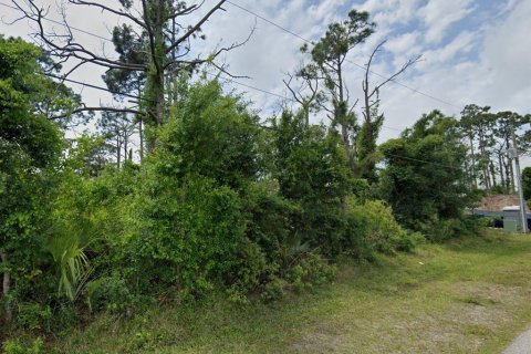 Land in Port Charlotte, Florida № 2159403 - photo 4