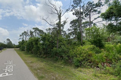 Land in Port Charlotte, Florida № 2159403 - photo 8