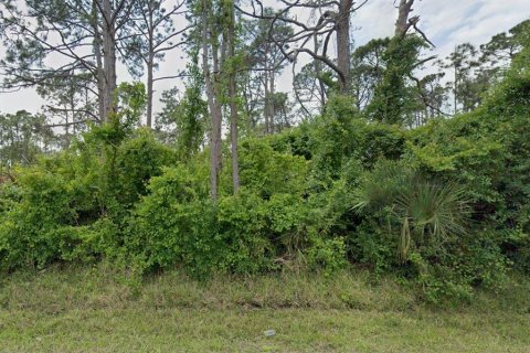 Land in Port Charlotte, Florida № 2159403 - photo 6