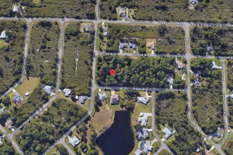 Land in Port Charlotte, Florida № 2159403 - photo 2