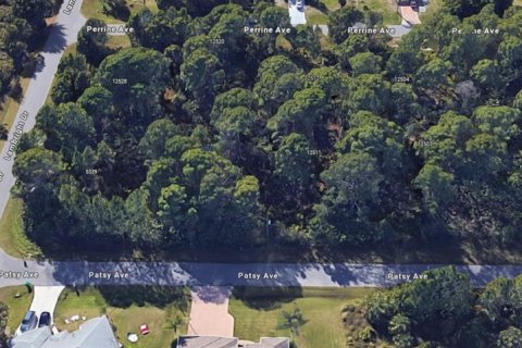 Land in Port Charlotte, Florida № 2159403 - photo 10
