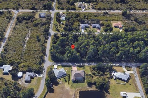 Land in Port Charlotte, Florida № 2159403 - photo 11
