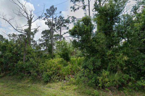 Land in Port Charlotte, Florida № 2159403 - photo 5