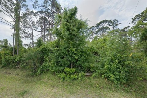 Land in Port Charlotte, Florida № 2159403 - photo 3