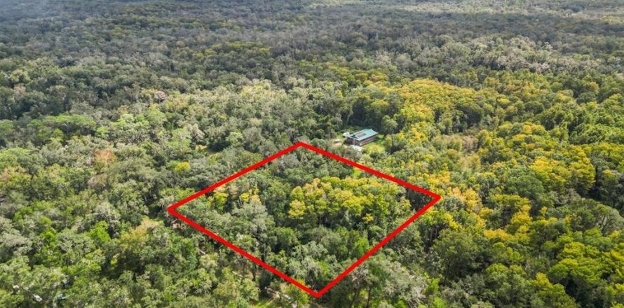 Terreno en Webster, Florida № 2092698