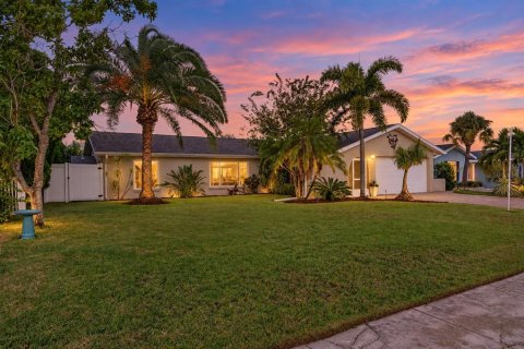 Villa ou maison à vendre à Apollo Beach, Floride: 3 chambres, 140.75 m2 № 2408823 - photo 3