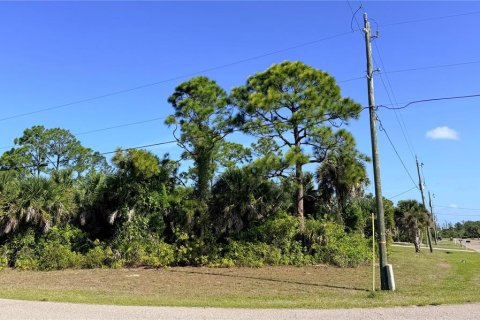 Land in Rotonda, Florida № 2205339 - photo 2