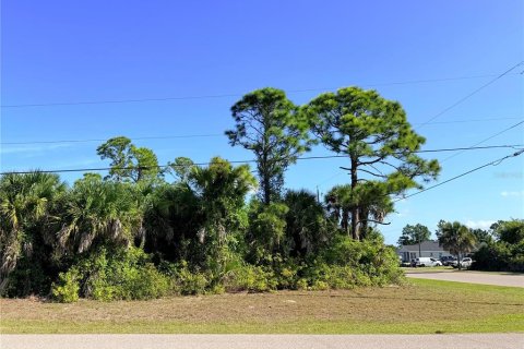 Land in Rotonda, Florida № 2205339 - photo 4