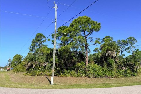 Land in Rotonda, Florida № 2205339 - photo 3
