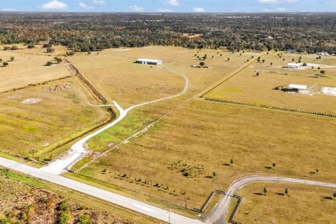 Terrain à vendre à Arcadia, Floride № 2214642 - photo 23