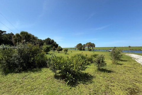 Land in Okeechobee, Florida № 1953423 - photo 20