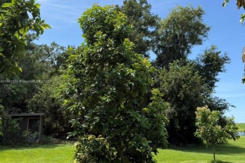 Land in Okeechobee, Florida № 1953423 - photo 10