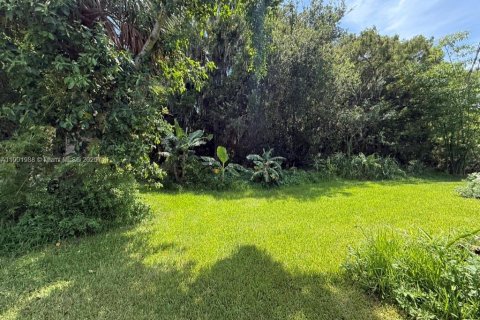 Land in Okeechobee, Florida № 1953423 - photo 9