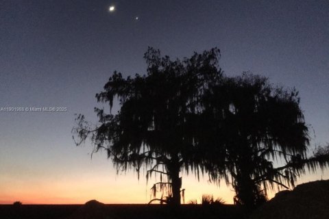 Land in Okeechobee, Florida № 1953423 - photo 6