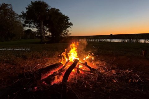 Land in Okeechobee, Florida № 1953423 - photo 7