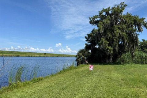 Land in Okeechobee, Florida № 1953423 - photo 24
