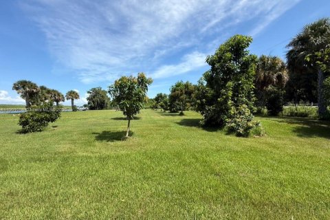 Land in Okeechobee, Florida № 1953423 - photo 15