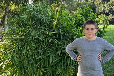 Land in Okeechobee, Florida № 1953423 - photo 13