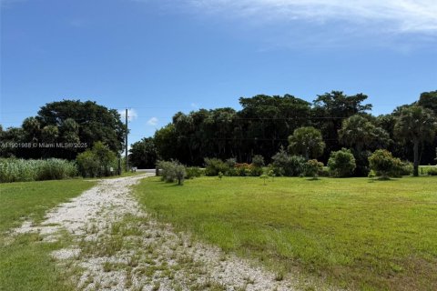 Land in Okeechobee, Florida № 1953423 - photo 18