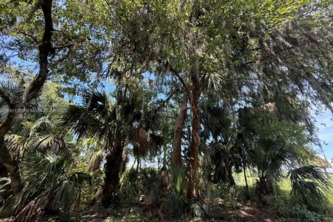 Land in Okeechobee, Florida № 1953423 - photo 30