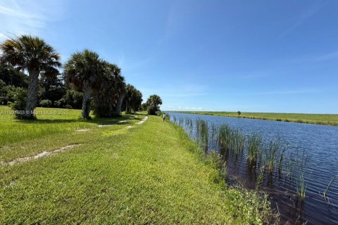 Land in Okeechobee, Florida № 1953423 - photo 8