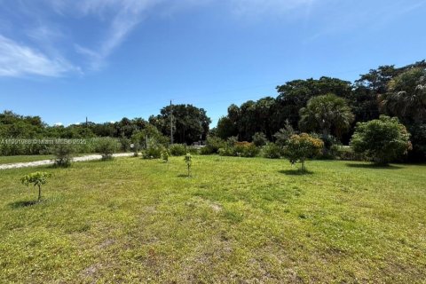 Land in Okeechobee, Florida № 1953423 - photo 3