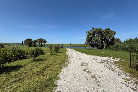 Land in Okeechobee, Florida № 1953423 - photo 19